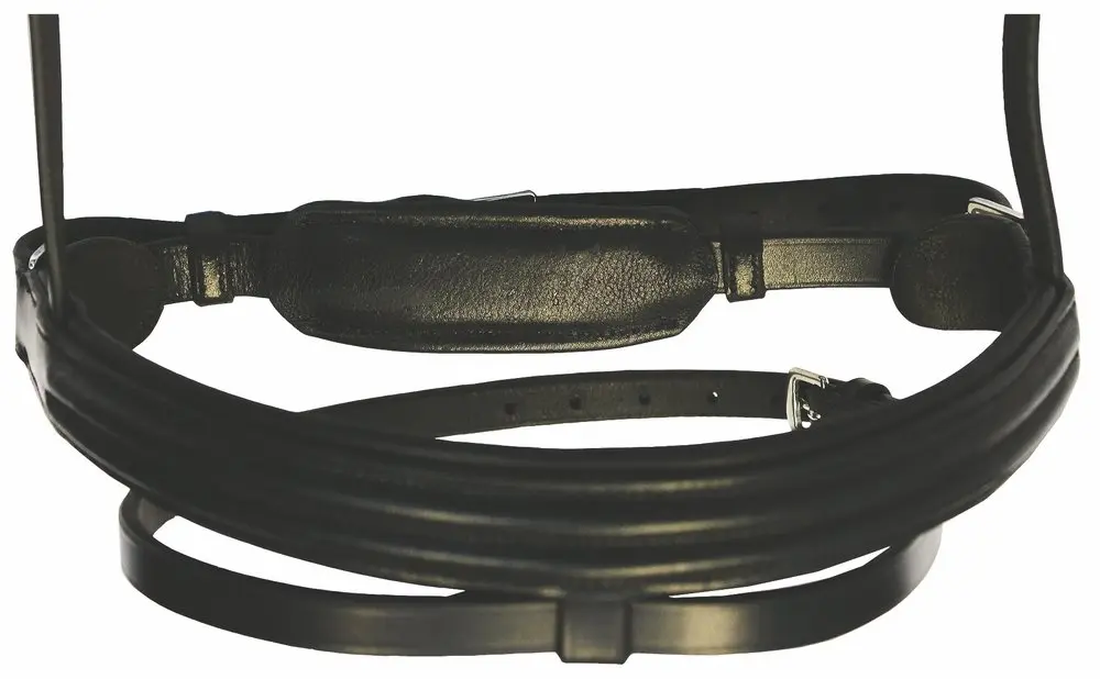 Henri de Rivel Padded Dressage Bridle with Crank Flash Noseband and Web Reins | Elegant, Durable, Black - view 5
