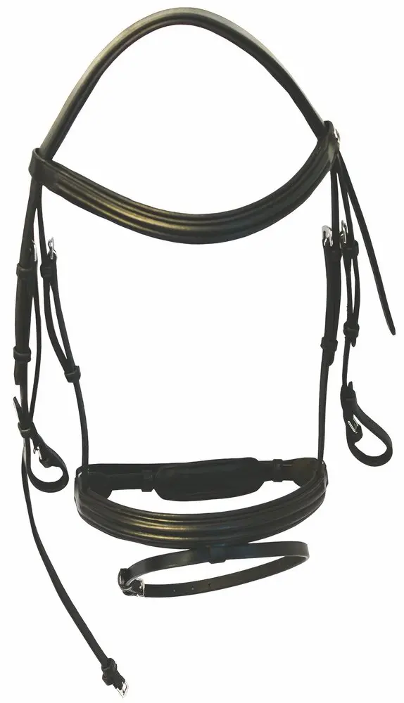 Henri de Rivel Padded Dressage Bridle with Crank Flash Noseband and Web Reins | Elegant, Durable, Black - view 2