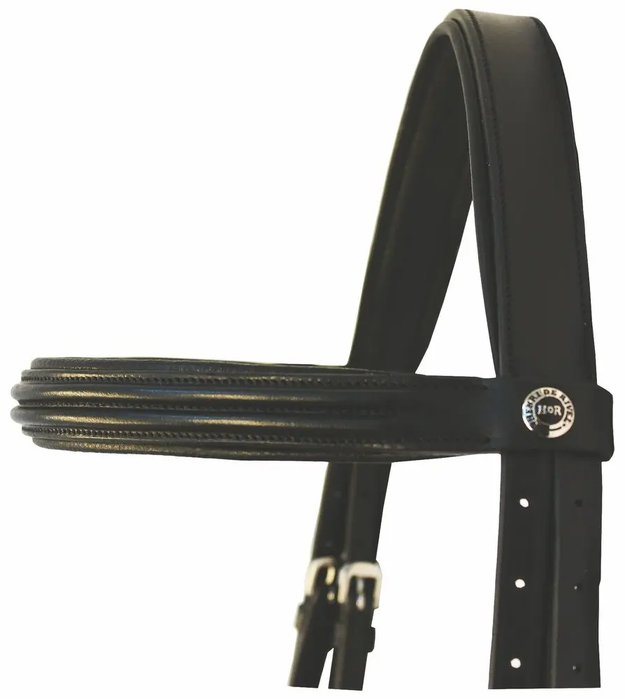 Henri de Rivel Padded Dressage Bridle with Crank Flash Noseband and Web Reins | Elegant, Durable, Black - view 3