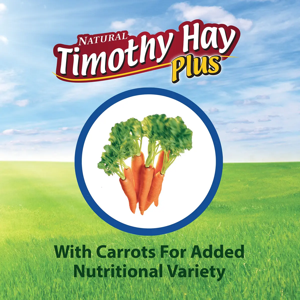 Kaytee All Natural Timothy Hay Plus Carrots for Guinea Pig & Rabbit | High Fiber, Fresh, USA Grown - view 8