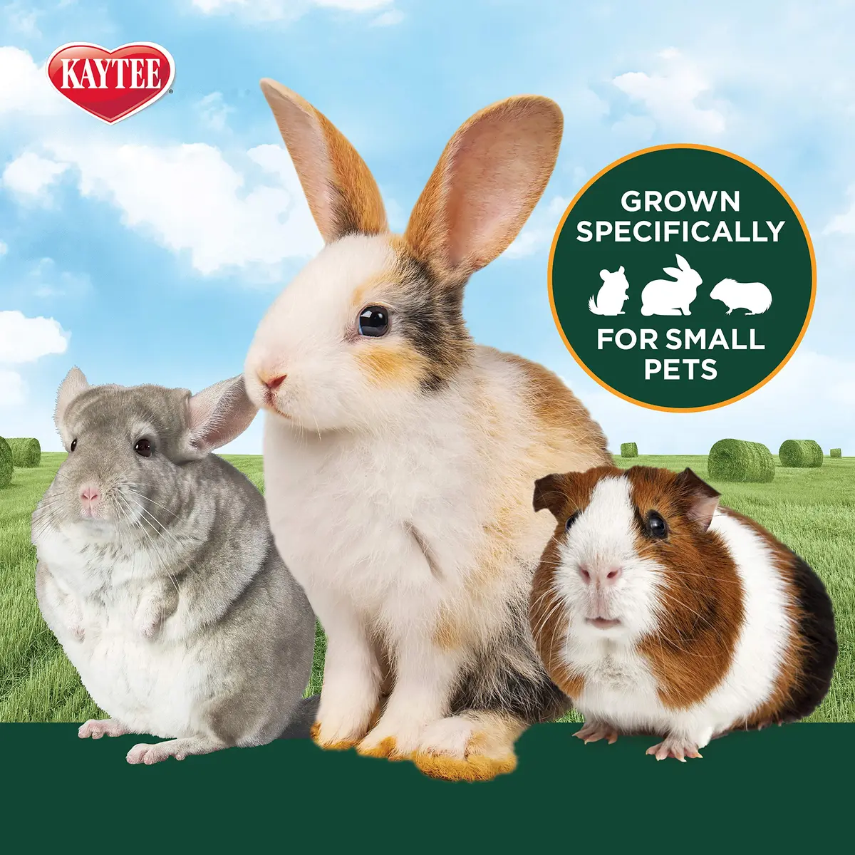 Kaytee All Natural Timothy Hay Plus Carrots for Guinea Pig & Rabbit | High Fiber, Fresh, USA Grown - view 3