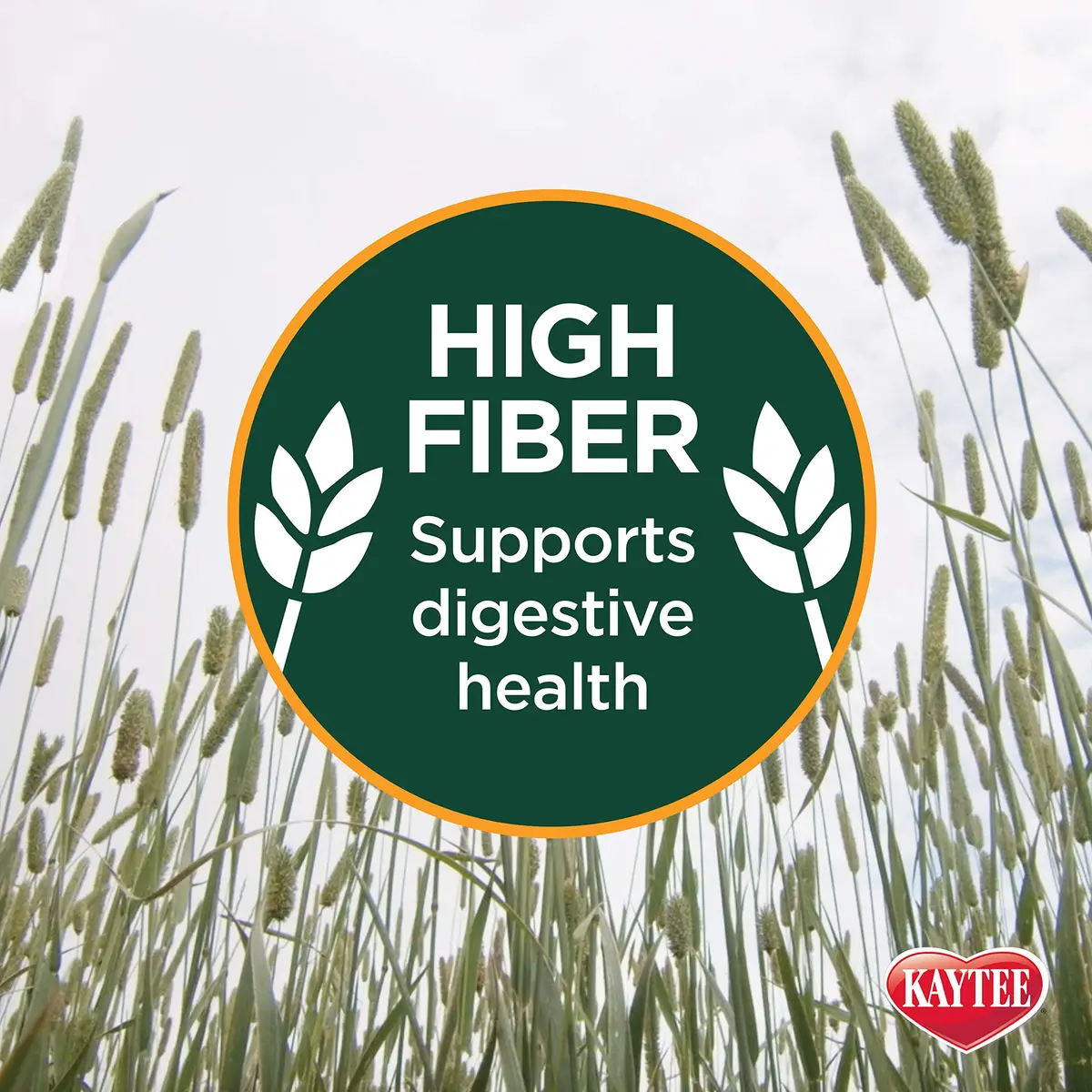 Kaytee All Natural Timothy Hay Plus Carrots for Guinea Pig & Rabbit | High Fiber, Fresh, USA Grown - view 4