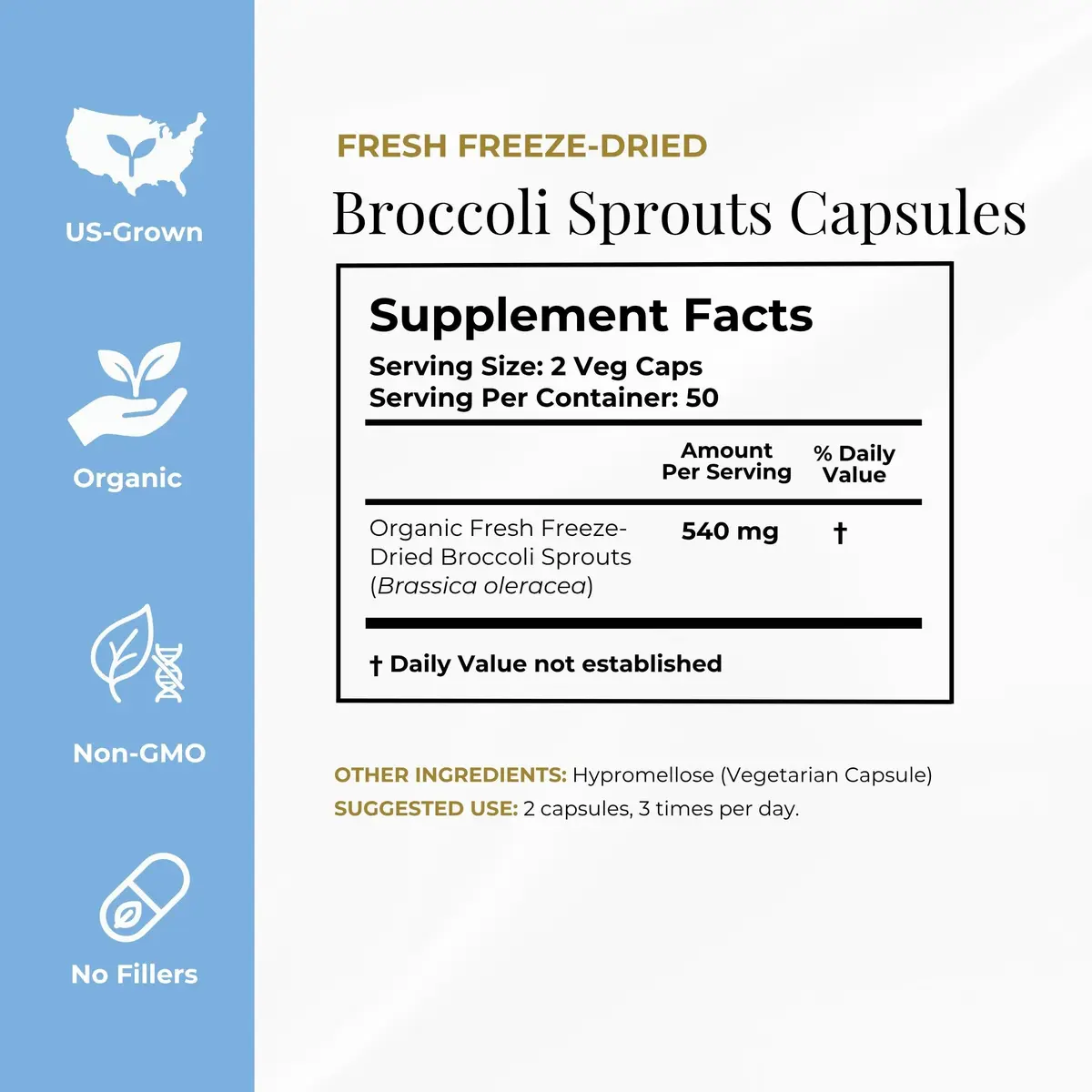 ECLECTIC INSTITUTE Organic Broccoli Sprouts Capsules 150 CT | Antioxidants & Cellular Support - view 8
