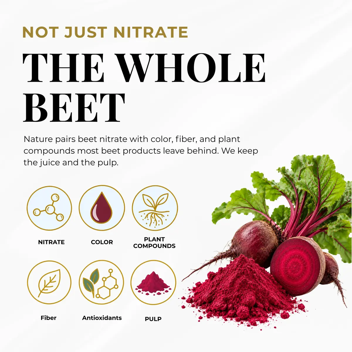 ECLECTIC INSTITUTE Organic Beet Juice Capsules 90 CT | Supports Heart & Circulatory Health - view 4