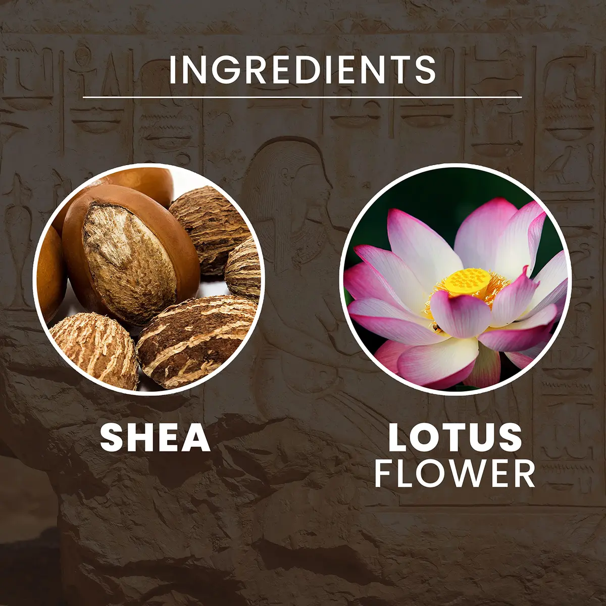Tesori d'Oriente Body Cream Lotus Flower And Acacia Milk 300ml (10.14 Fl Oz) | Hydrating for Normal Skin - view 3