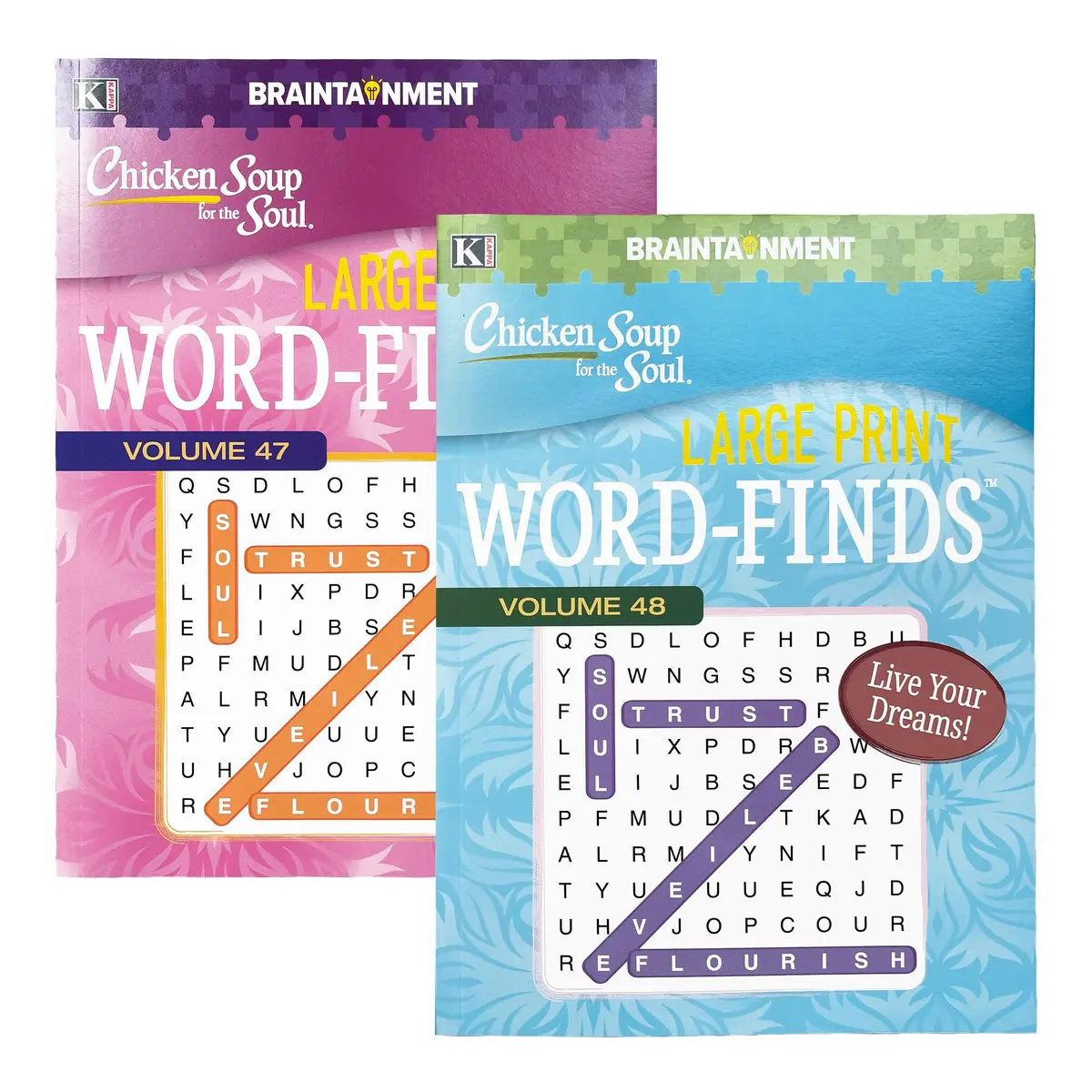 BAZIC PRODUCTS Large Print Chicken Soup for the Soul Puzzle Book, 2 Titles, Set of 2 | Brain Teasing & Fun for All Ages - main product image