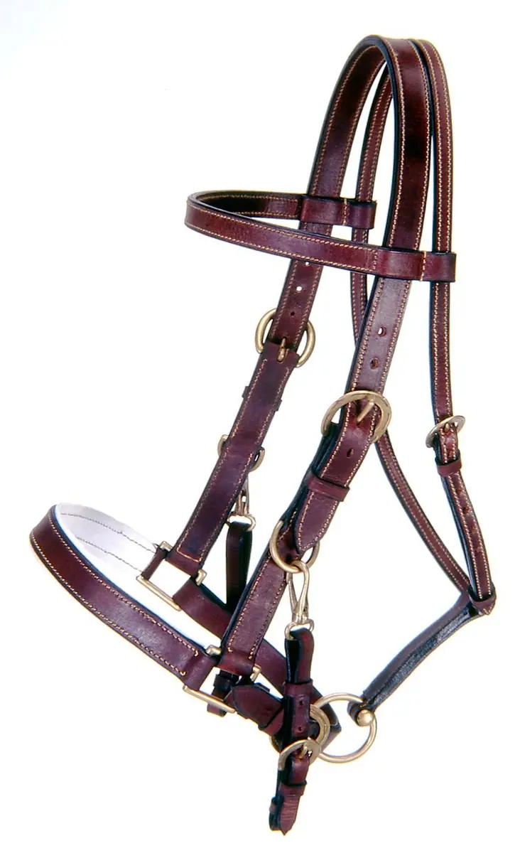 Tough 1 Australian Equestrian Leather Horse Halter - Brown | Bridle Conversion with Side Snaps - main product image