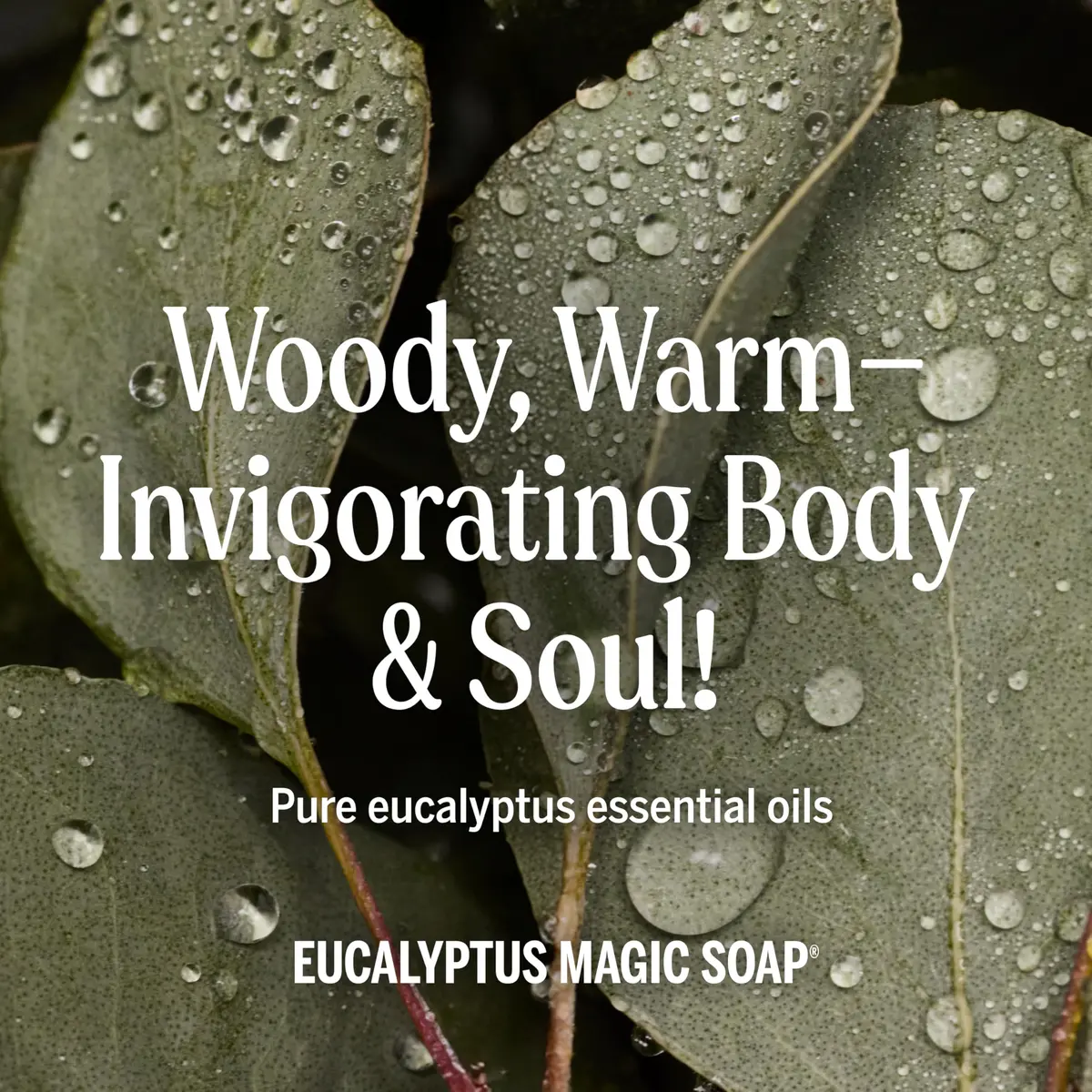 Dr. Bronner's Eucalyptus Pure-Castile Liquid Soap 237ml (8 Fl Oz) | Gentle & Biodegradable Body Wash - view 5