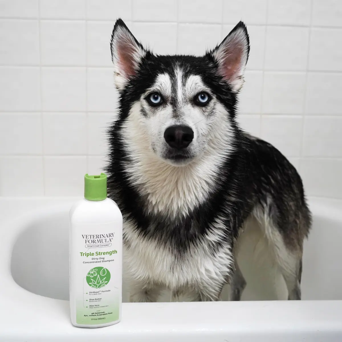 Veterinary Formula Smart Coat Triple Strength Dirty Dog Shampoo, 17 oz | Deep Clean & Moisturize for Heavy-Duty Dog Fur - view 6