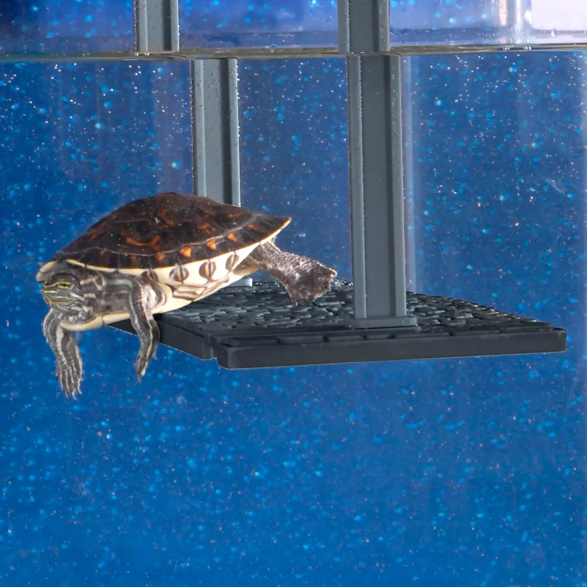 Penn-Plax Reptology Turtle Topper – Above Tank Basking Platform for 55 Gallon Tanks, Black - view 2
