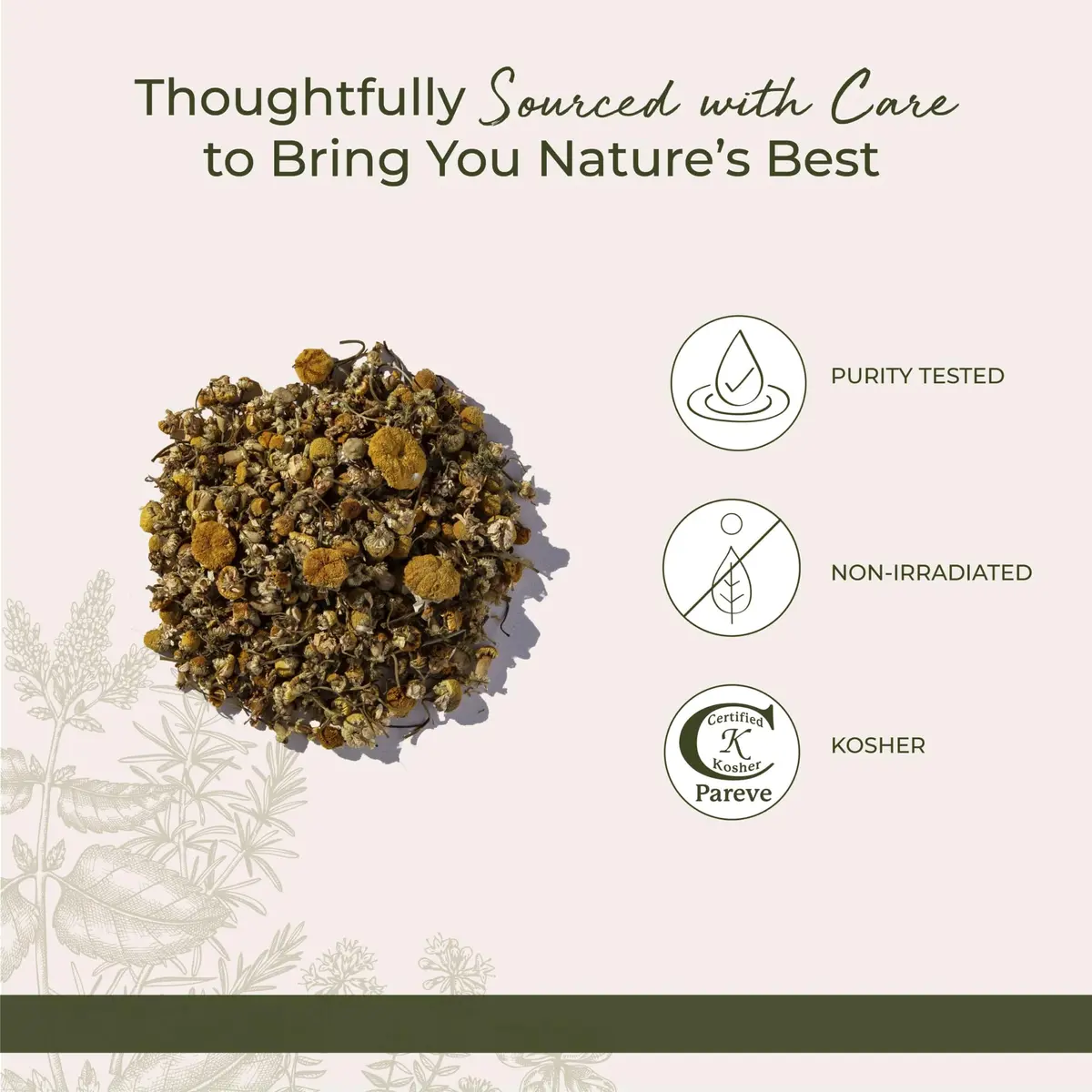 Starwest Botanicals Organic Chamomile Flowers Whole - 16 Oz | Pure Egyptian Herb for Tea & Baking - view 4