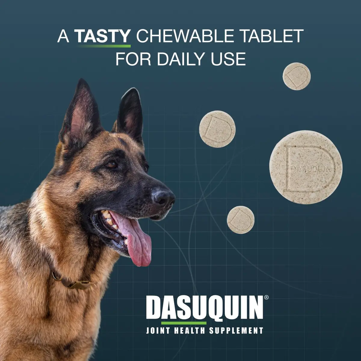 Nutramax Dasuquin Joint Health Supplement Large Dogs Chew Tablets 84 Count (2.3 kg / 5 lb) | Vet-Recommended Canine Mobility Support - view 4