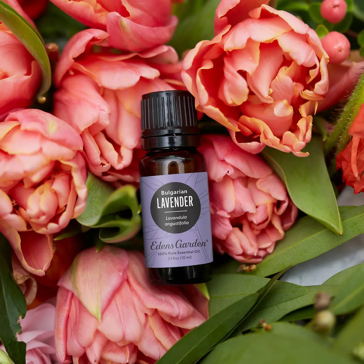 Edens Garden Lavender Bulgarian Essential Oil 30 ml | Pure, Therapeutic & Relaxing - view 2