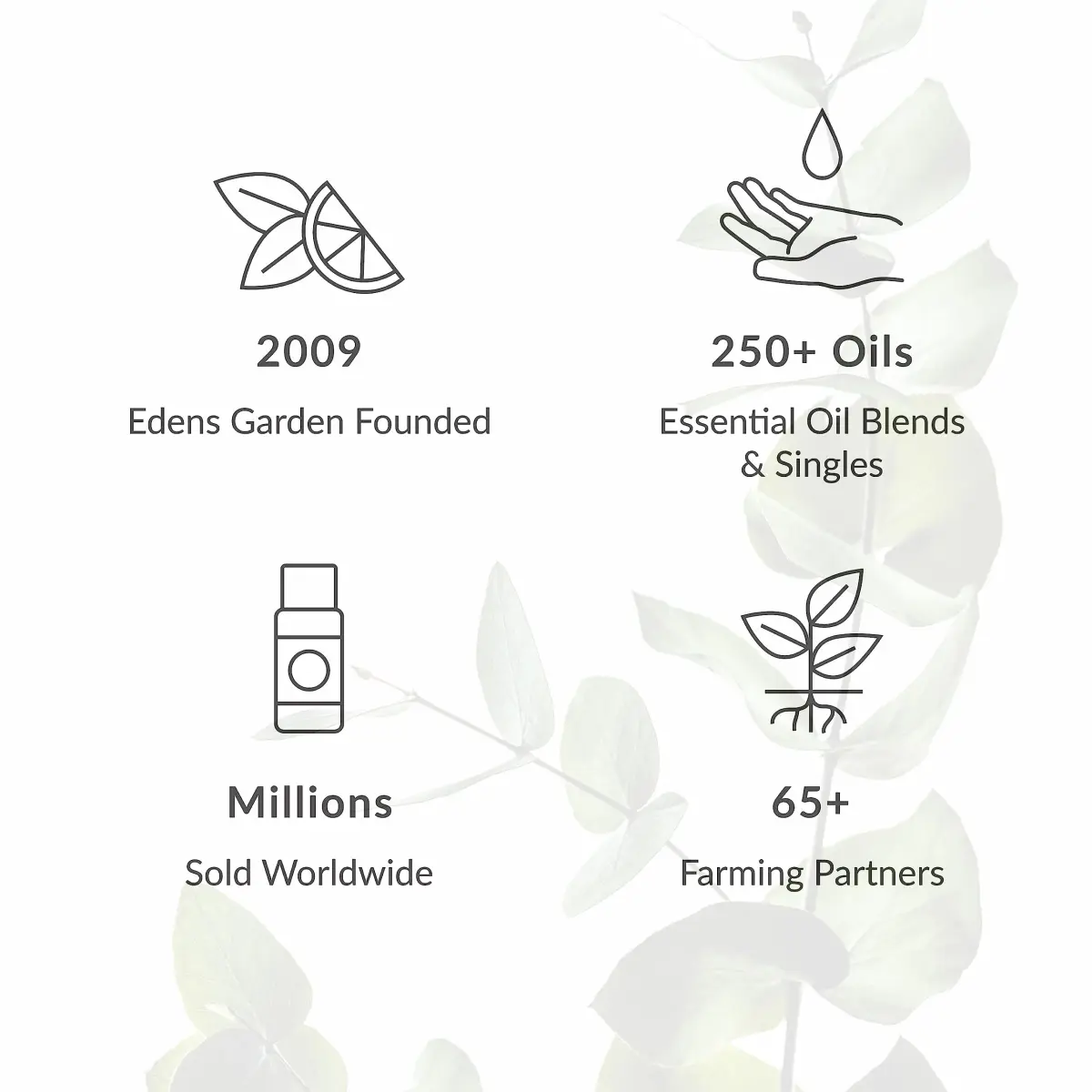 Edens Garden Meditation Essential Oil Blend 30 ml (1 fl oz) | Pure Aromatherapy for Peace - view 6