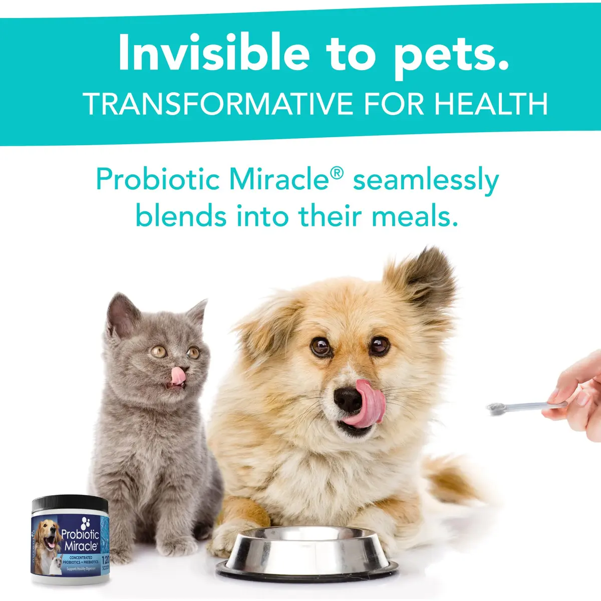 NUSENTIA Probiotics for Cats & Dogs 44g (120 scoops) | Gut & Digestive Support for Pets - view 5