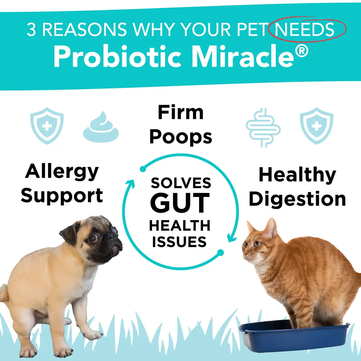 NUSENTIA Probiotics for Cats & Dogs 44g (120 scoops) | Gut & Digestive Support for Pets - view 2