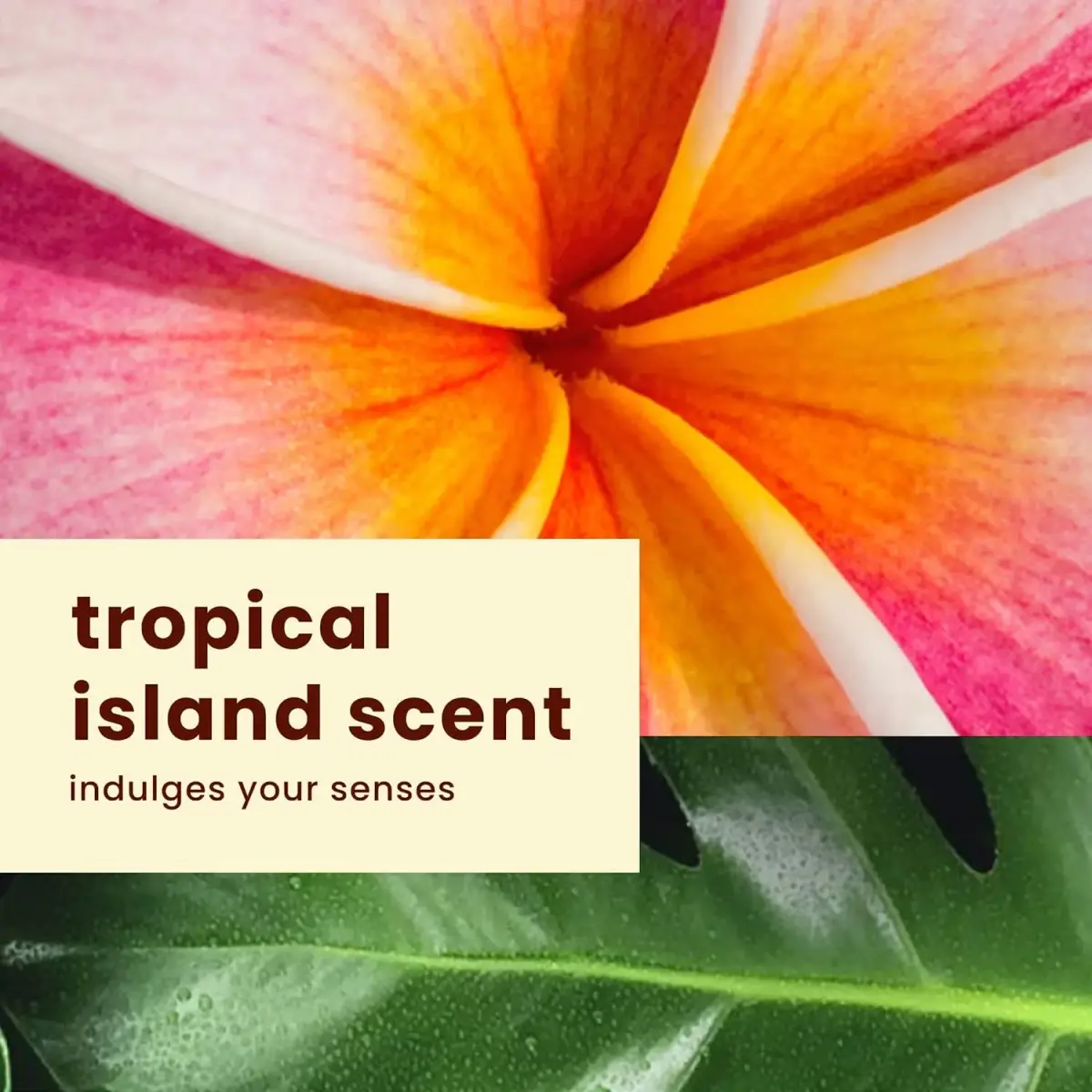 Hawaiian Tropic Sheer Touch Lotion Sunscreen SPF 15, 236ml (8 Fl Oz) Pack of 2 | Broad Spectrum UVA/UVB Protection - view 7