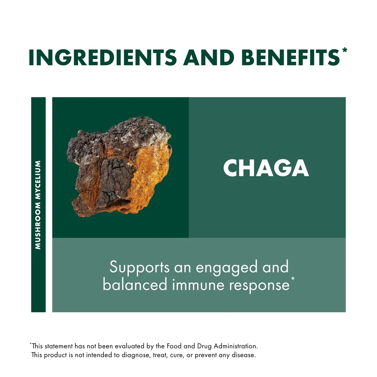 Host Defense Chaga Capsules 60 Count | Immune Support & Antioxidants - view 6