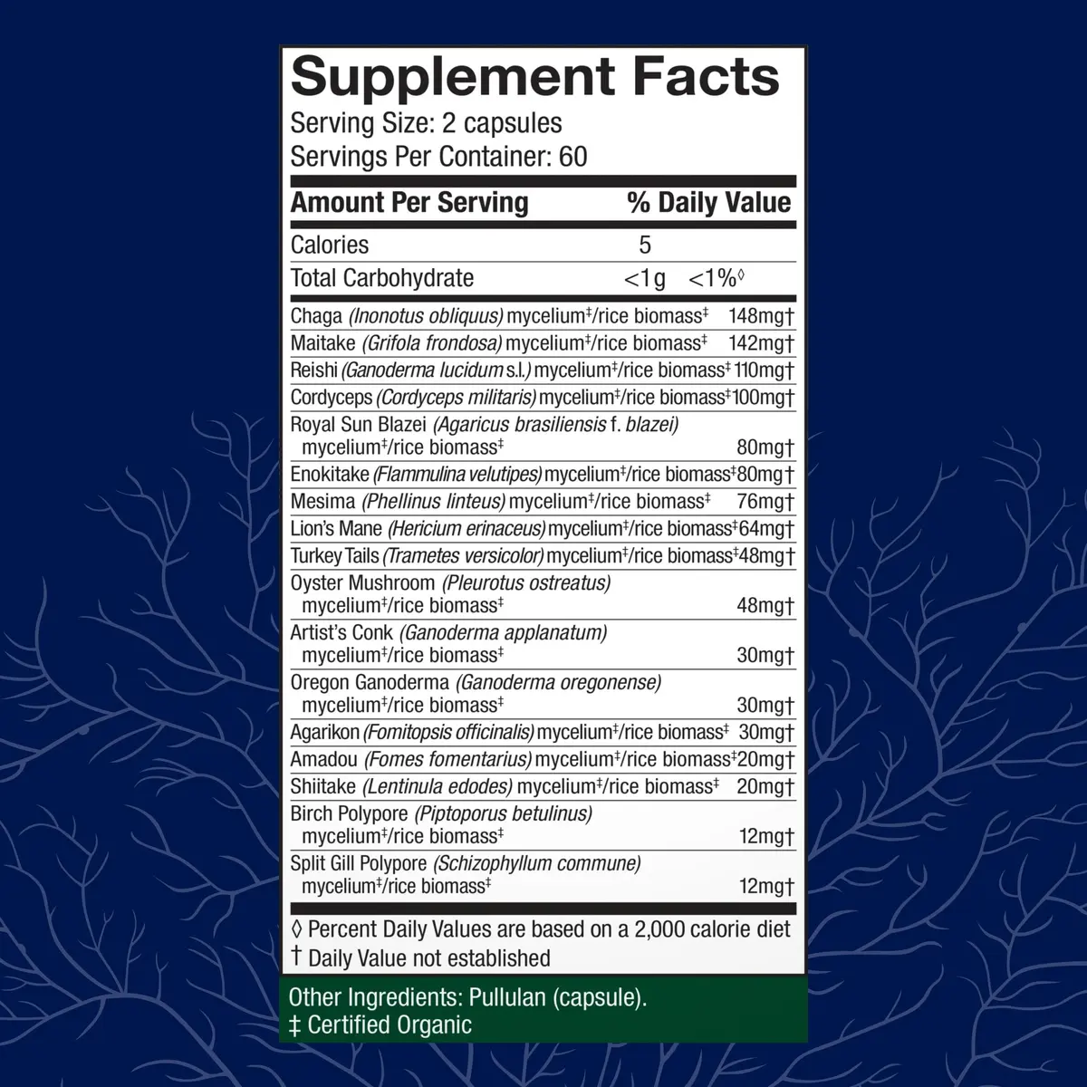 Host Defense MyCommunity Capsules Immune Support 120 Count (Pack of 1) | 17-Species Mushroom Blend for Balanced Immune Response - view 2