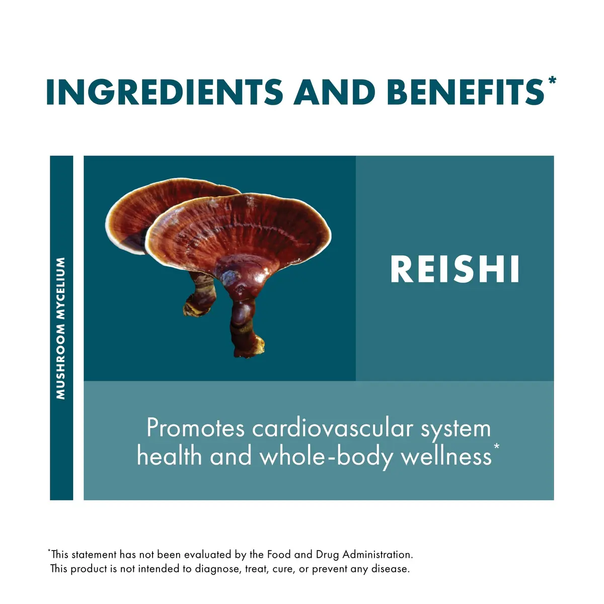 Host Defense Reishi Capsules 60 Capsules | Supports Wellness & Vitality - view 6