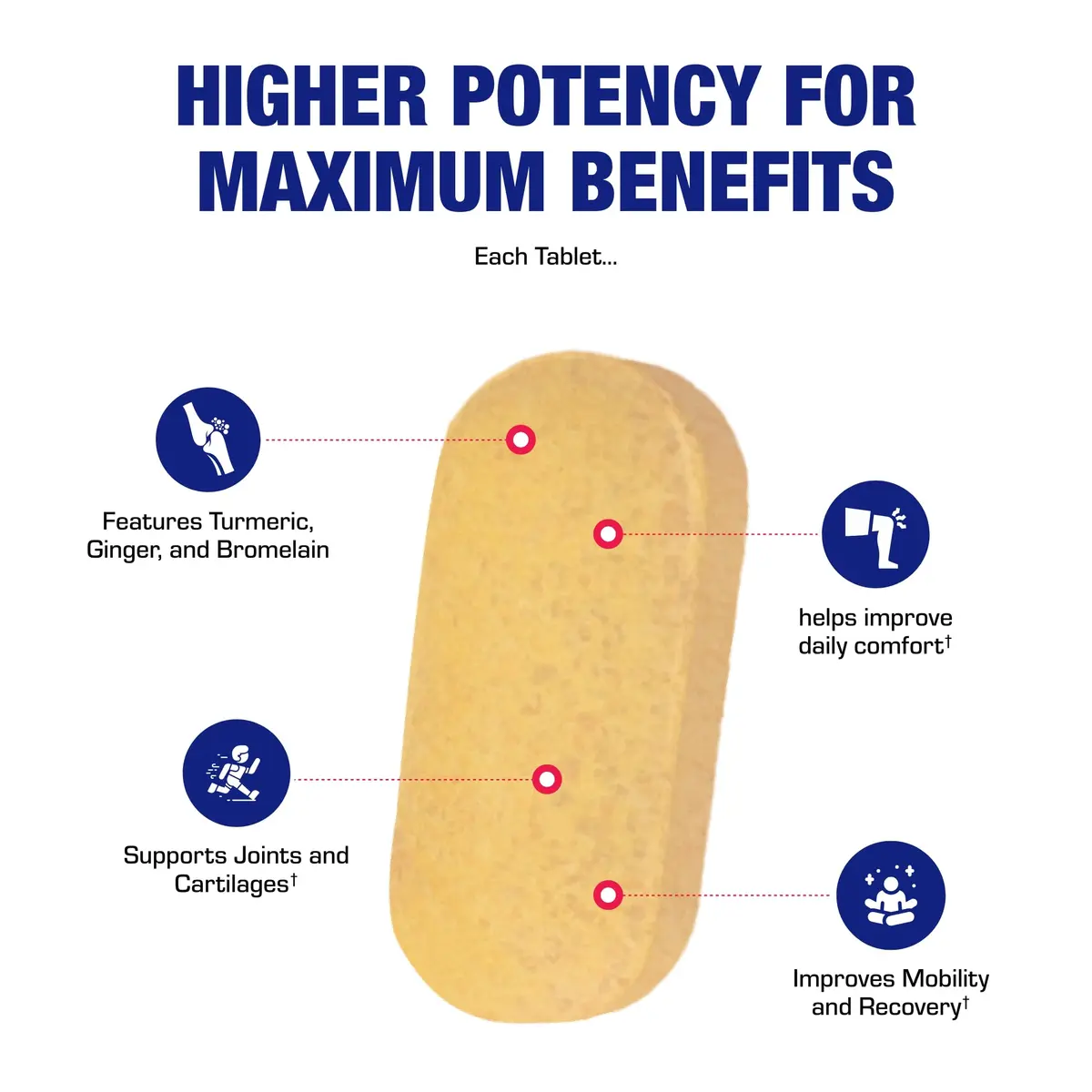 Pro ENZ Joint Support Supplement - Clinical Formula Turmeric Boswellia for Joint & Cartilage Mobility (120 Servings) - view 5