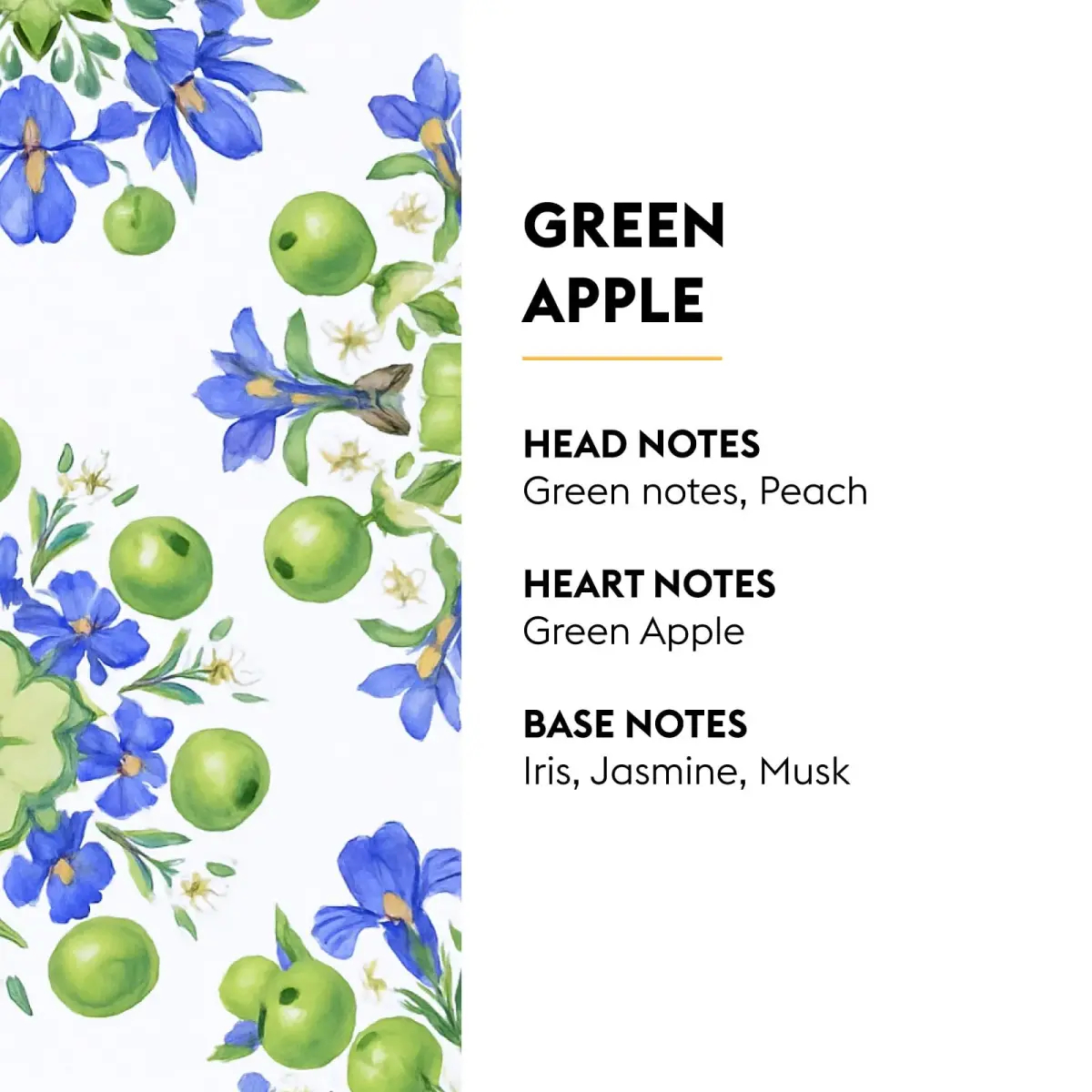 MAISON BERGER Green Apple Refill 500ml (16.9 Fl Oz) | Long-Lasting Odor Neutralizing Home Fragrance - view 2