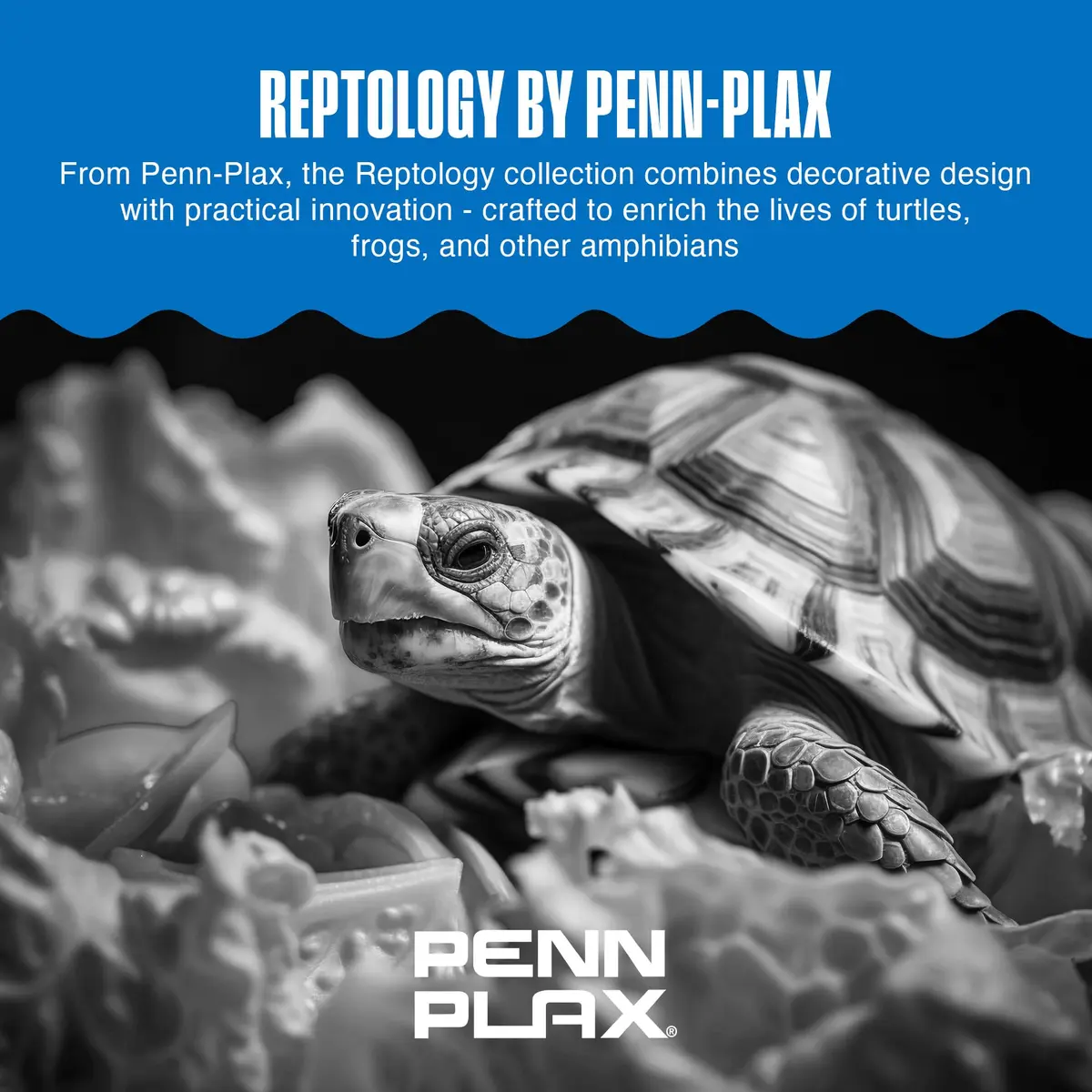 Penn-Plax Reptology Turtle Pier and Basking Platform, Medium - Adjust Height Up to 12 In - Floats at Water Level - Easy Ramp Access for Turtles, Frogs & Reptiles in Aquariums or Terrariums, 11.5x9.5 In - view 7