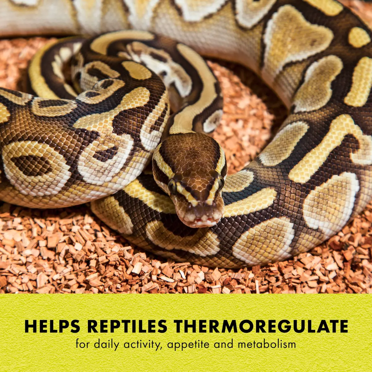 Zilla Heat Mat for Reptiles, Terrarium Heater, Medium, 8 Watt | Self-Regulating Infrared Heat - view 4
