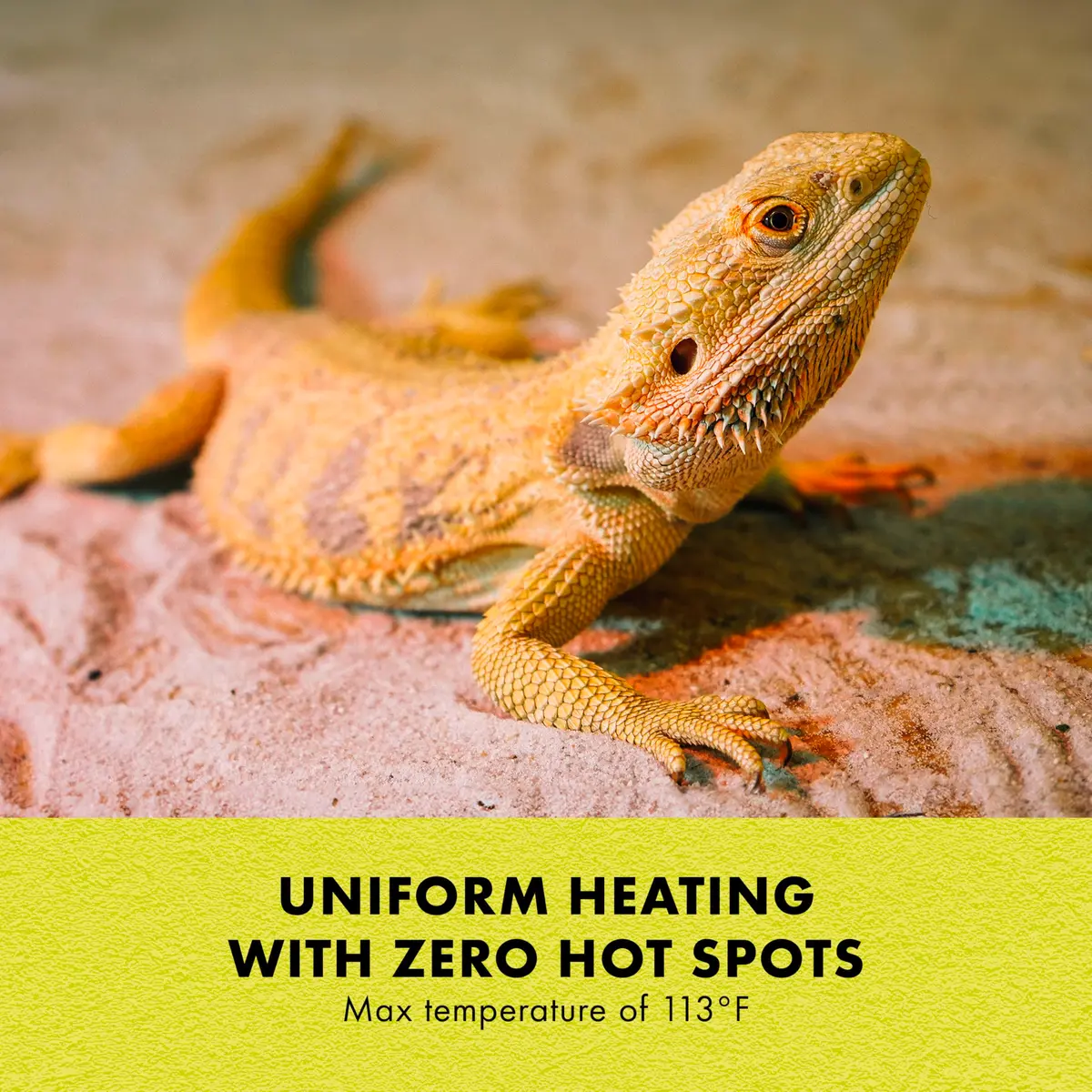 Zilla Heat Mat for Reptiles, Terrarium Heater, Medium, 8 Watt | Self-Regulating Infrared Heat - view 5
