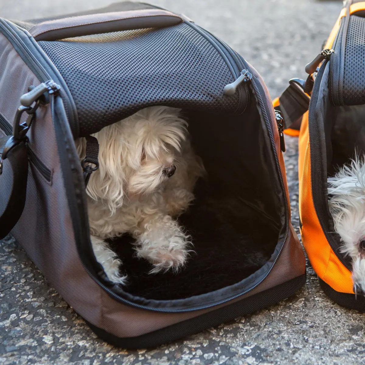 Sleepypod® Air Airline Approved Pet Carrier, Crash Tested, Dark Chocolate | In-Cabin Travel Bed & Car Seat - view 5