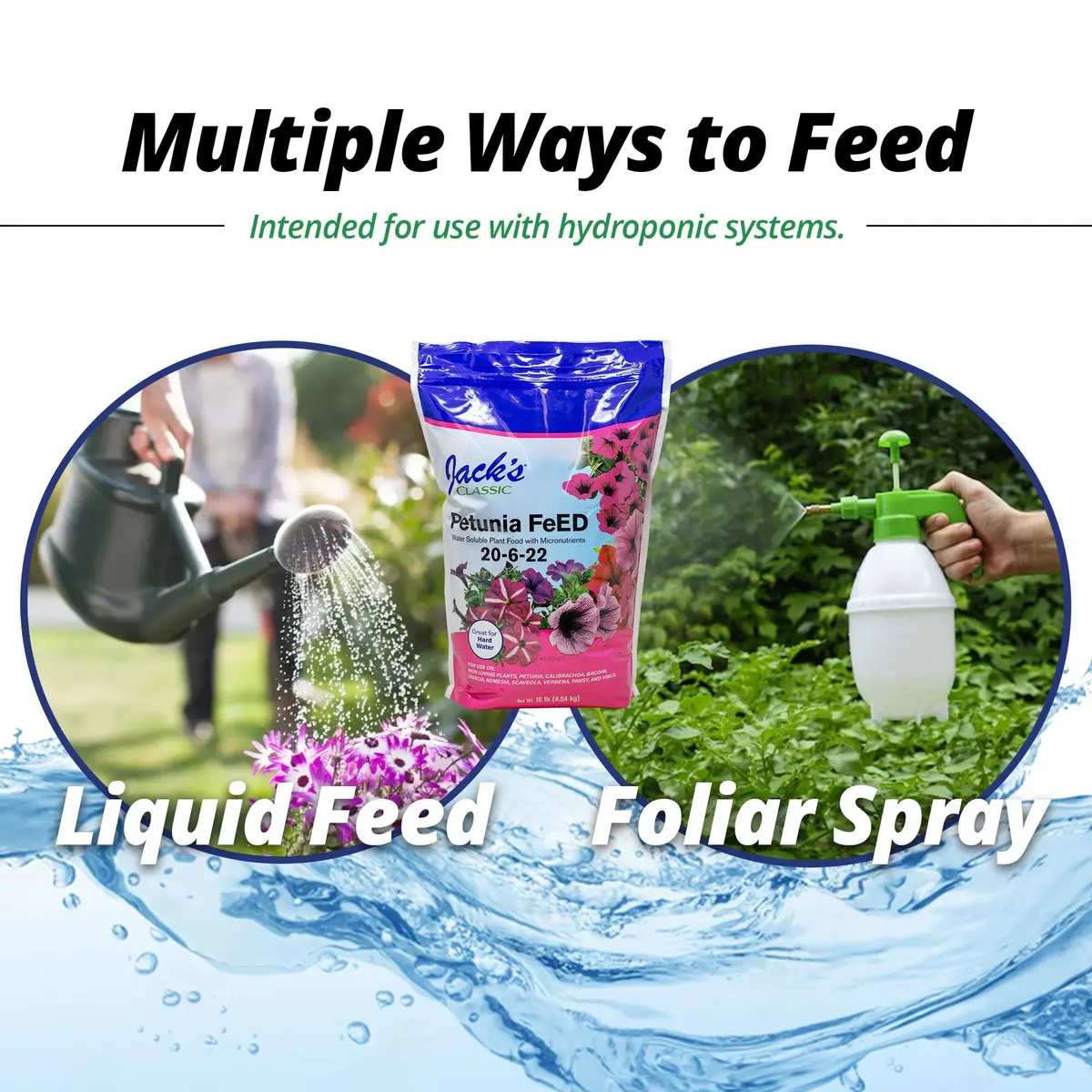 Jack's Classic 20-6-22 Petunia Feed Water-Soluble Fertilizer 10lb | Iron & Micronutrients for Lush Growth - view 6