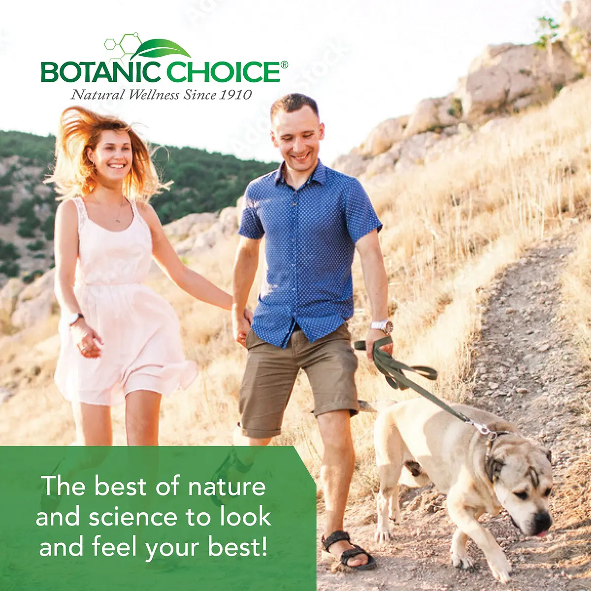Botanic Choice Ultra Kidney Complex Kidney Support Supplement, 60 Capsules | Herbal Kidney Support with Toxin Flush - view 6