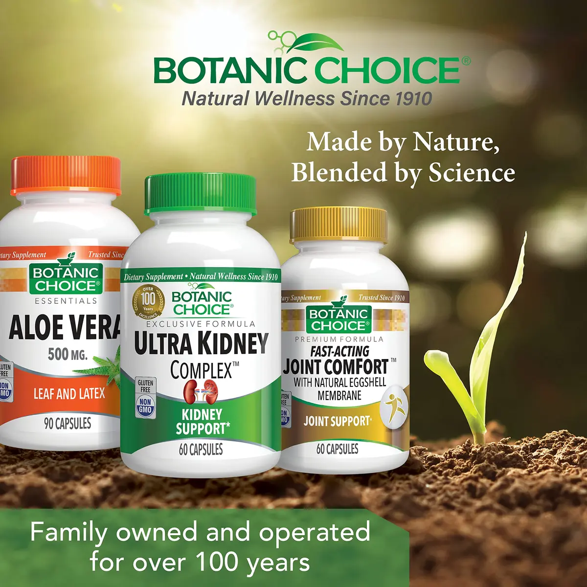 Botanic Choice Ultra Kidney Complex Kidney Support Supplement, 60 Capsules | Herbal Kidney Support with Toxin Flush - view 8