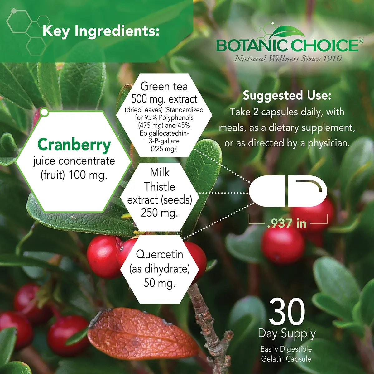 Botanic Choice Ultra Kidney Complex Kidney Support Supplement, 60 Capsules | Herbal Kidney Support with Toxin Flush - view 3