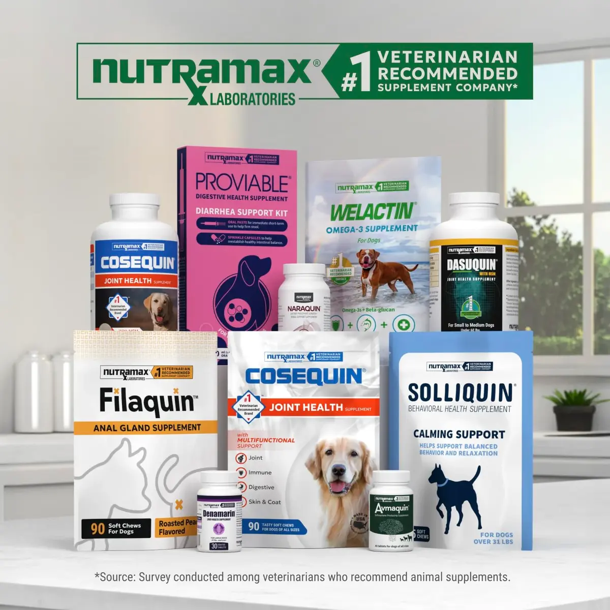 Nutramax Dasuquin Joint Supplement for Small/Med Dogs 84 Soft Chews | Supports Healthy Joints & Cartilage - view 8
