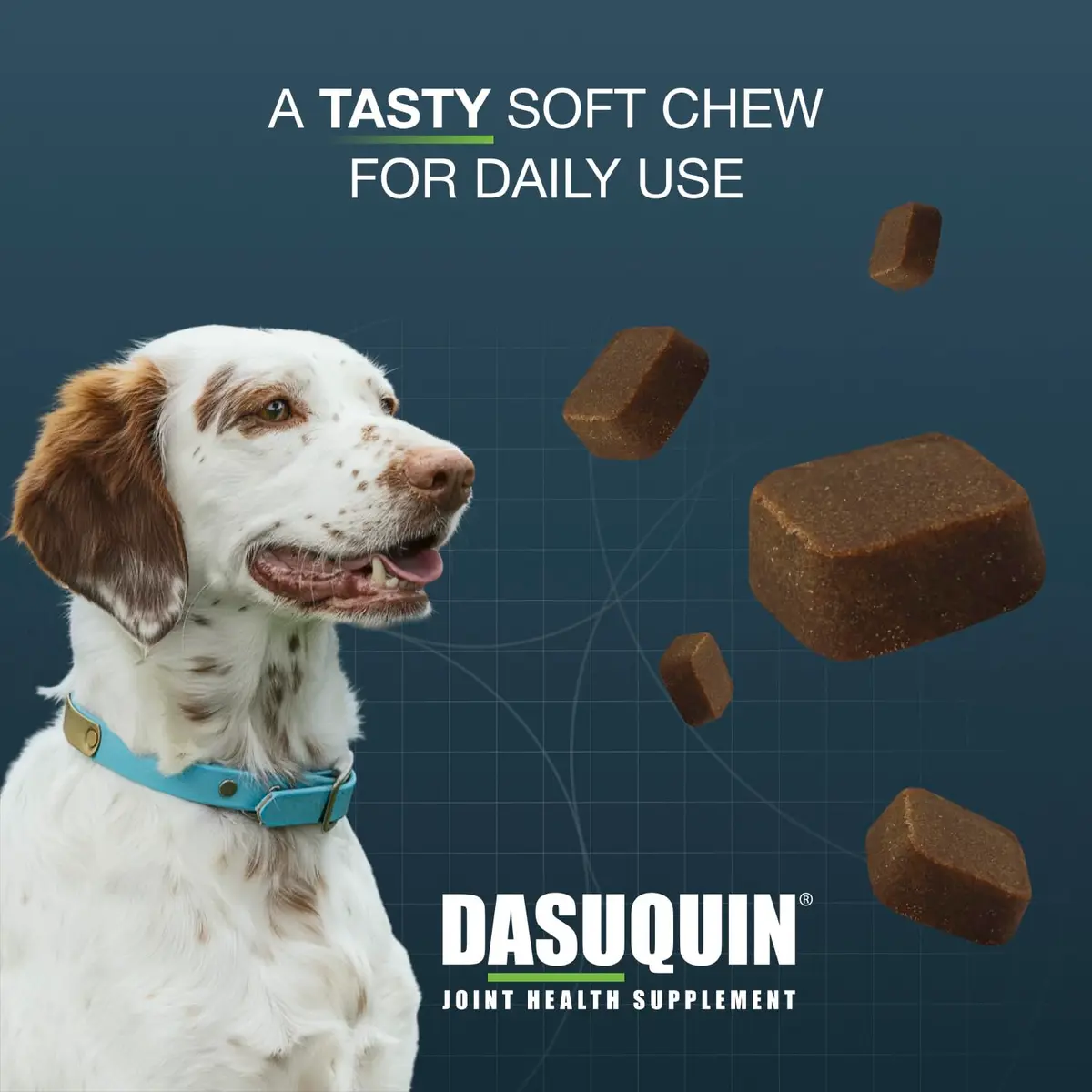 Nutramax Dasuquin Joint Supplement for Small/Med Dogs 84 Soft Chews | Supports Healthy Joints & Cartilage - view 3