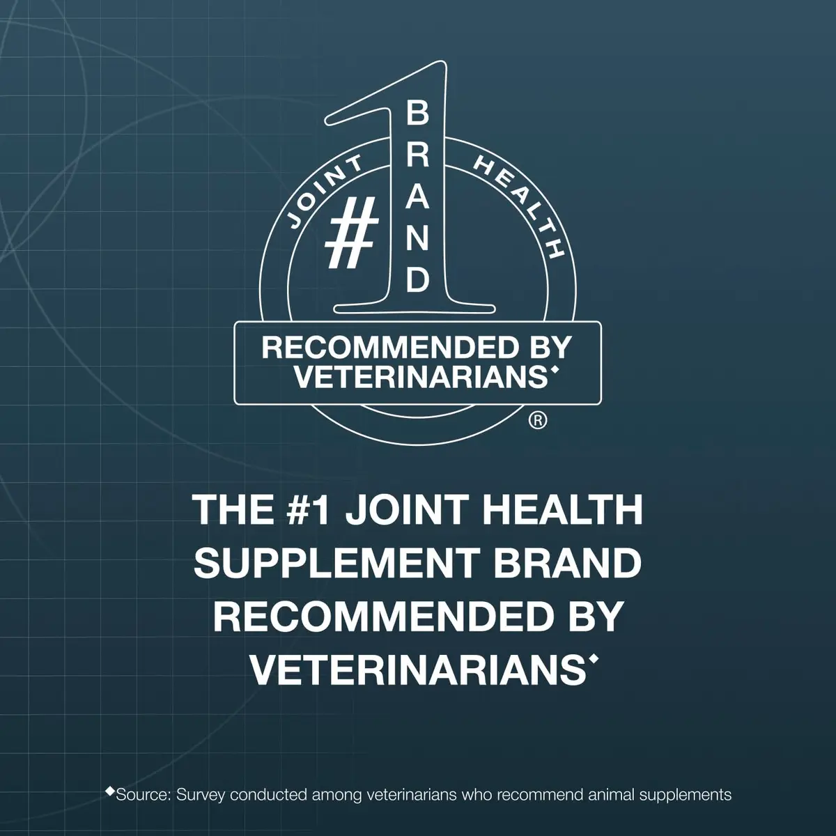 Nutramax Dasuquin Joint Supplement for Large Dogs, Soft Chews, 84ct | Supports Healthy Joints & Cartilage - view 2