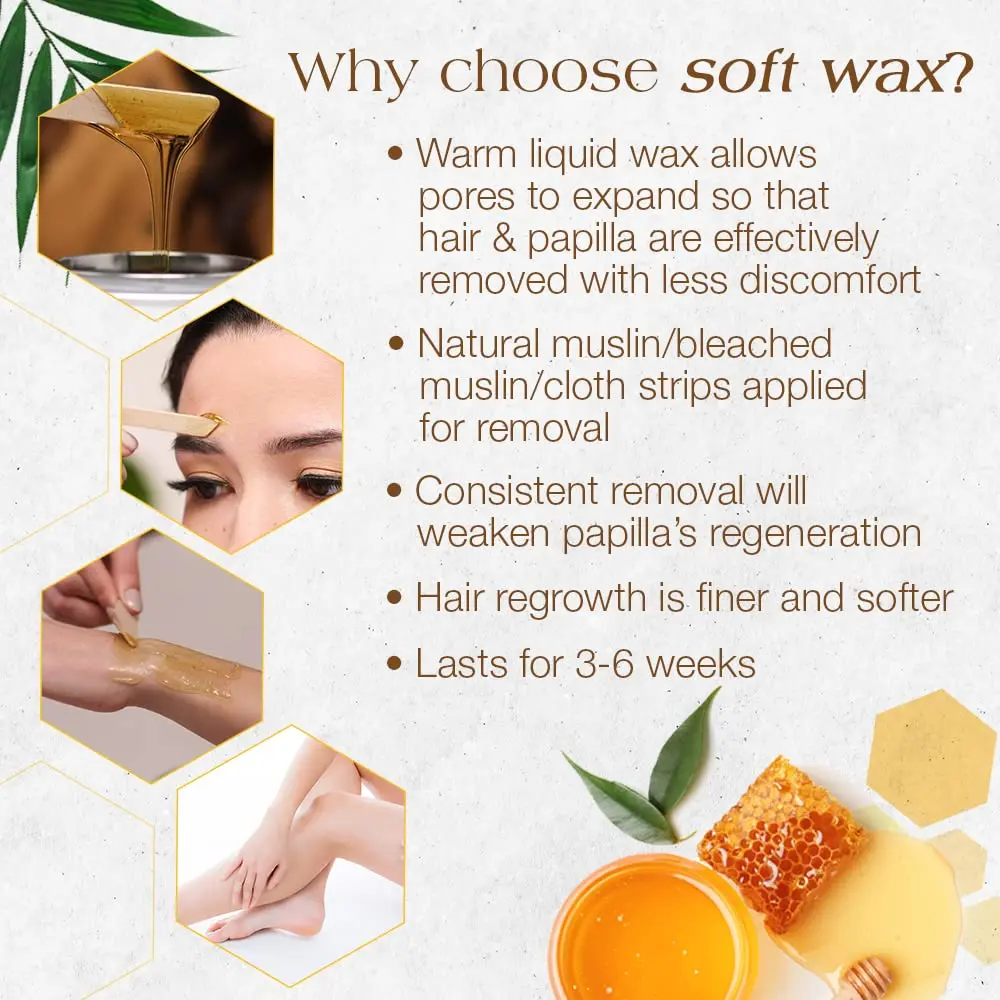 GIGI All Purpose Honee Soft Wax for Hair Removal 14 oz | Honey-Infused Formula for Gentle, Long-Lasting Hair-Free Skin - view 6