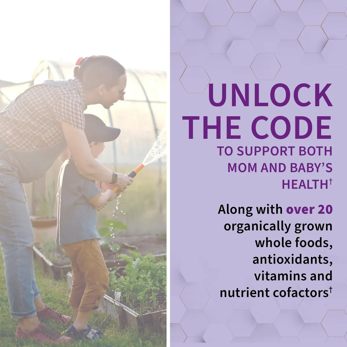 Garden of Life Vitamin Code Raw Prenatal Multivitamin for Women with Iron, Folate, Probiotics & Whole Food Nutrients | Immune & Energy Support - view 2