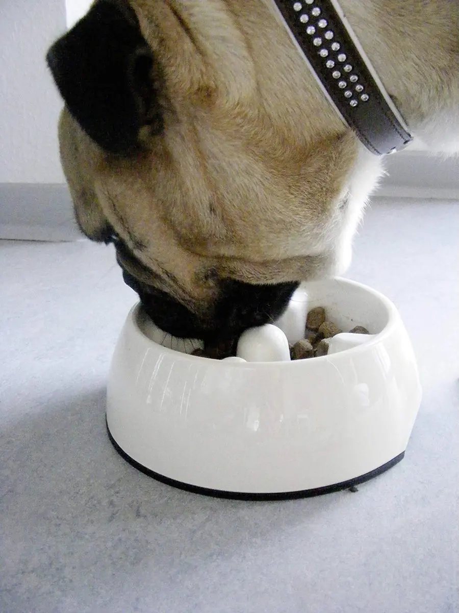 Dogit Go Slow Anti Gulping Dog Bowl Small | Reduces Bloat & Supports Digestion - view 2