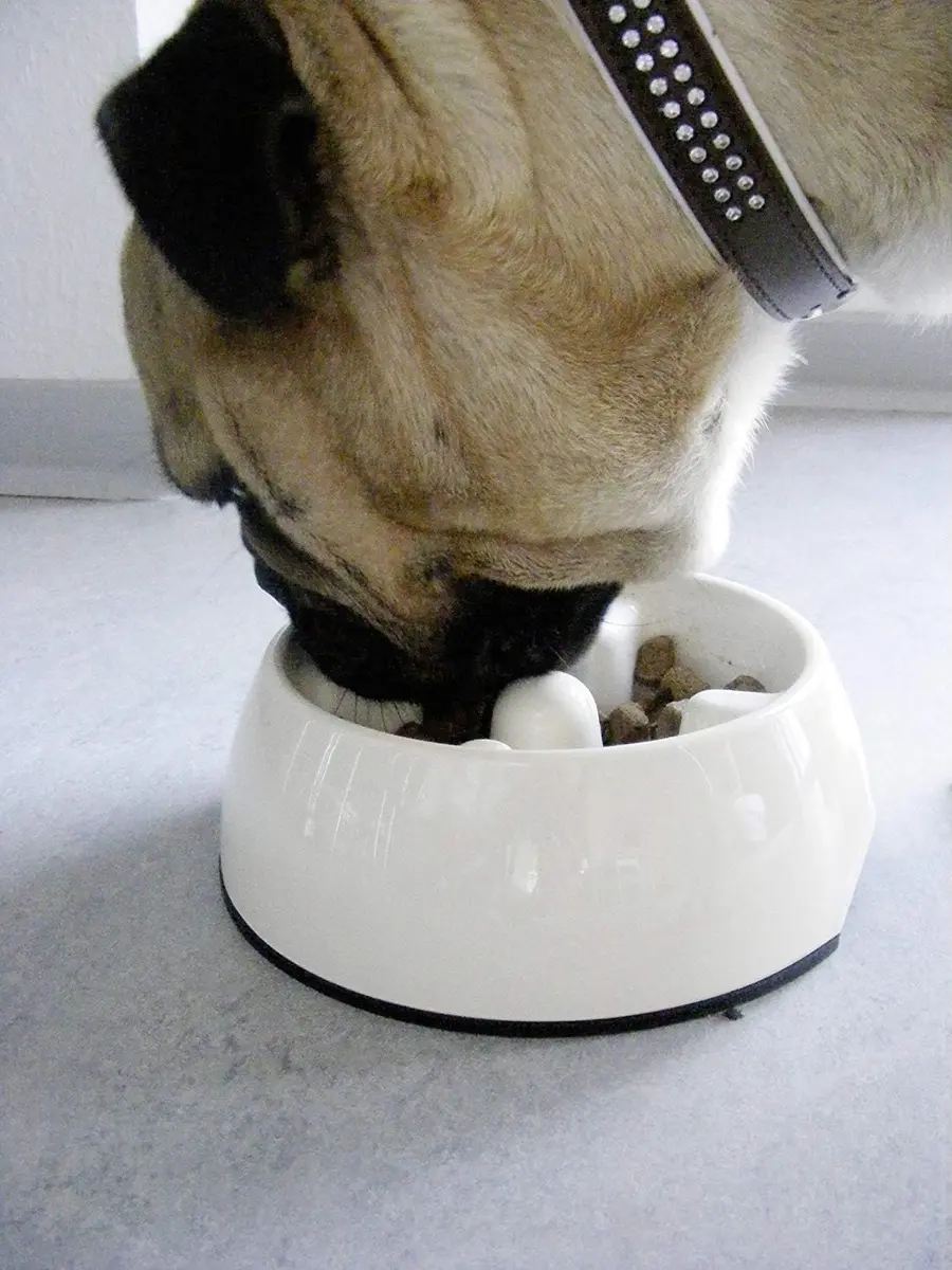 Dogit Dog Bowl Slow Feeder for Wet or Dry Dog Food | Anti-Gulping, White, S - view 2