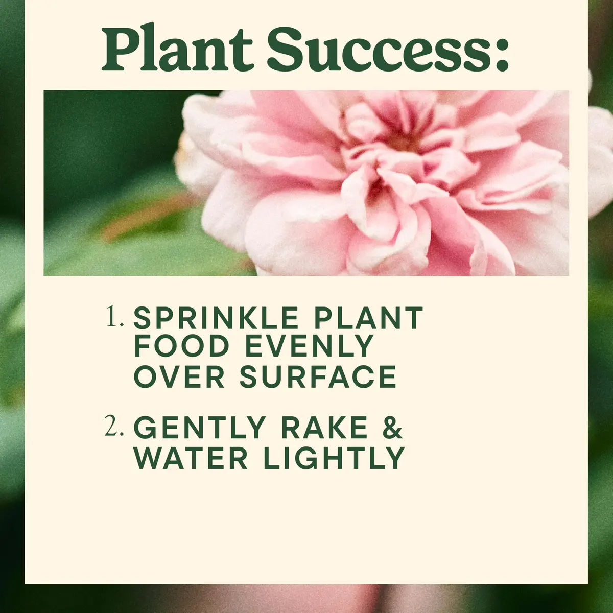 Miracle-Gro Shake 'N Feed All Purpose Plant Food + Weed Preventer 4.5 lb | Feeds & Prevents Weeds for Garden - view 5