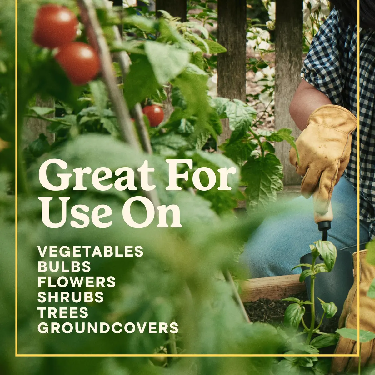 Miracle-Gro Shake 'N Feed All Purpose Plant Food + Weed Preventer 4.5 lb | Feeds & Prevents Weeds for Garden - view 9