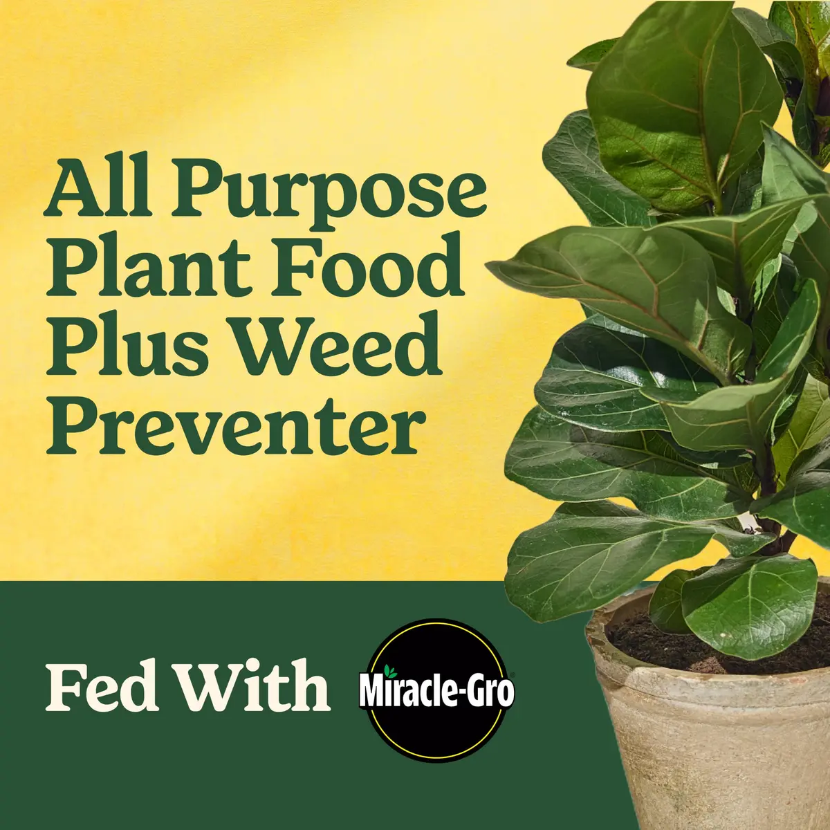 Miracle-Gro Shake 'N Feed All Purpose Plant Food + Weed Preventer 4.5 lb | Feeds & Prevents Weeds for Garden - view 2