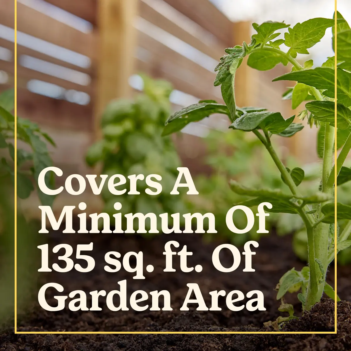 Miracle-Gro Shake 'N Feed All Purpose Plant Food + Weed Preventer 4.5 lb | Feeds & Prevents Weeds for Garden - view 3