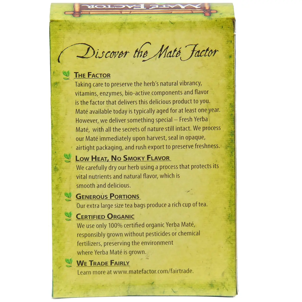 Maté Factor Yerba Mate Energizing Herb Tea Bag, Organic Green, 24-Count | Fresh & Certified - view 4