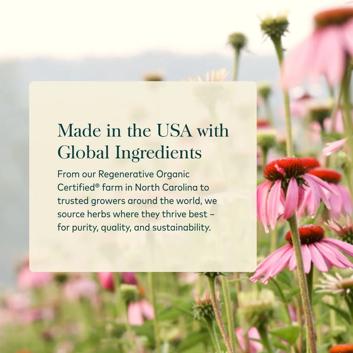 Gaia Herbs Echinacea Goldenseal 60 Vegan Capsules | Supports Respiratory & Immune Health - view 4