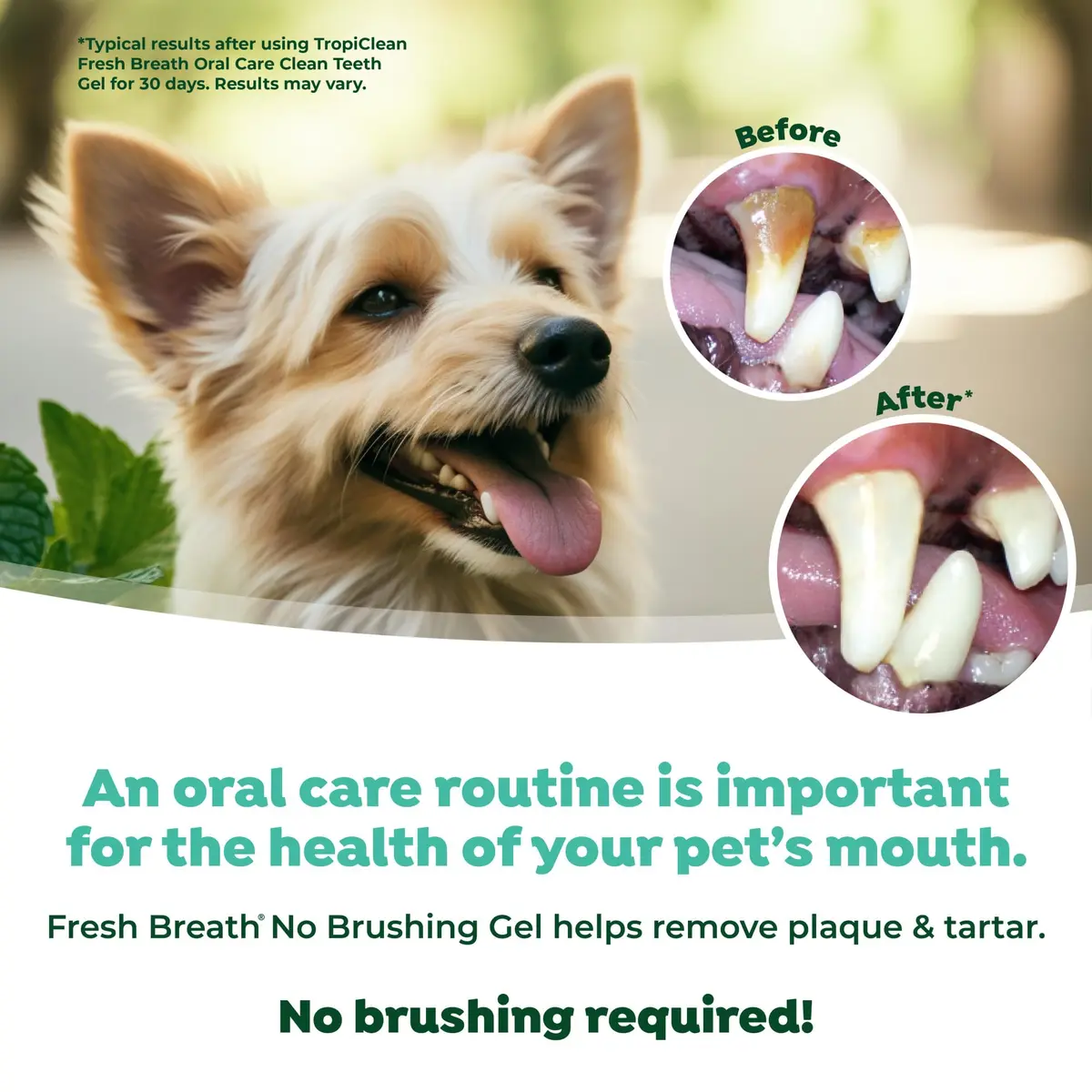 TropiClean Fresh Breath No Brushing Dog Toothpaste Gel 4oz (118ml) | Fights Bad Breath & Plaque - view 5
