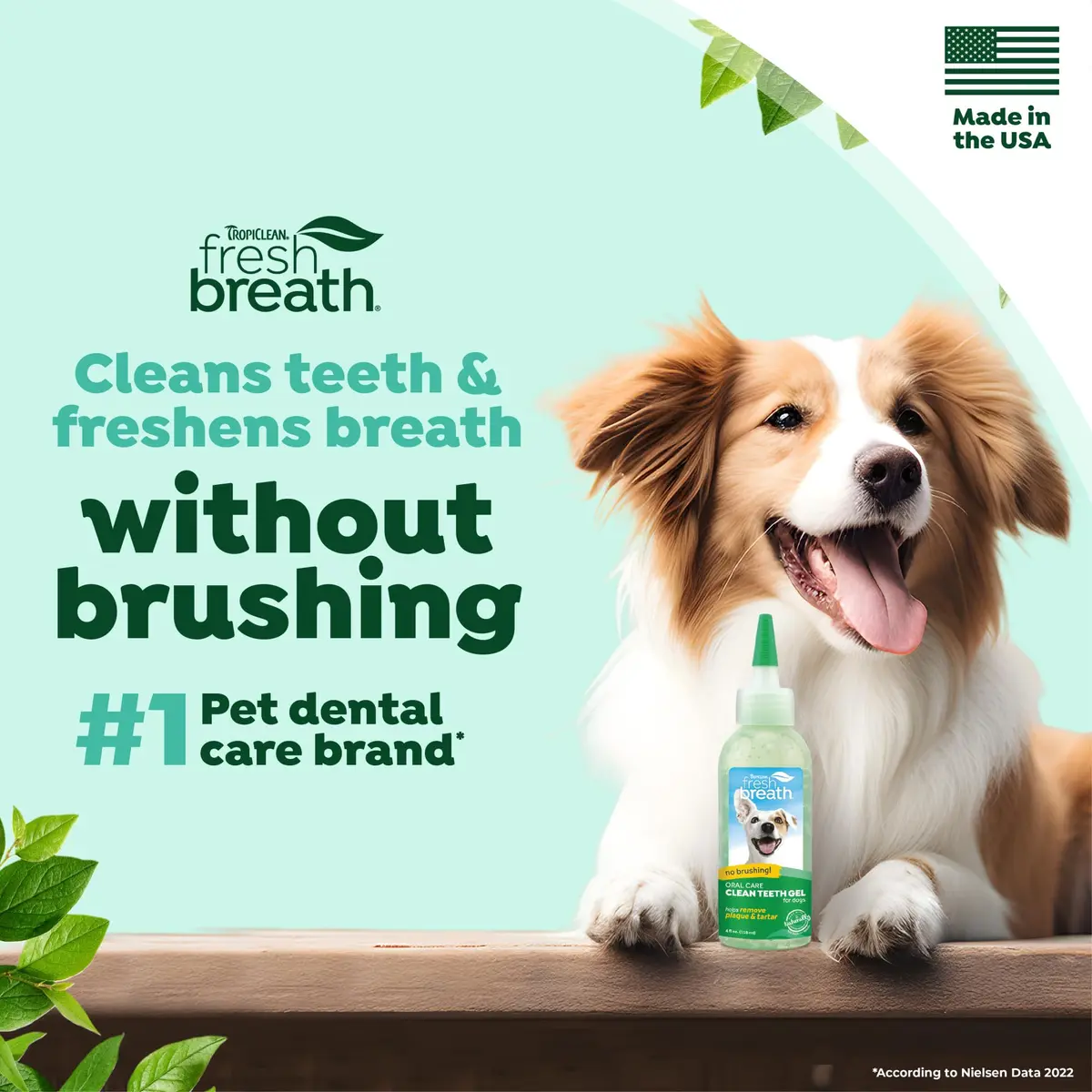 TropiClean Fresh Breath No Brushing Dog Toothpaste Gel 4oz (118ml) | Fights Bad Breath & Plaque - view 2