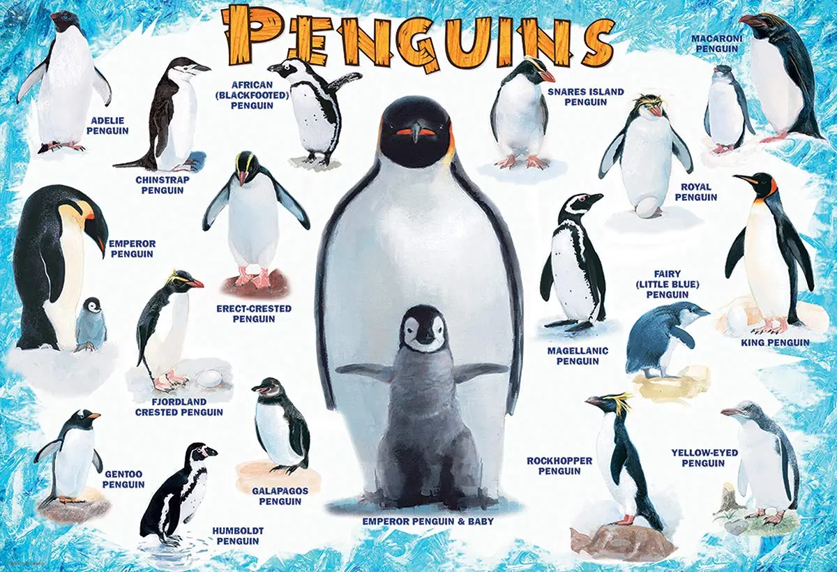 EuroGraphics Penguins 100 Piece Jigsaw Puzzle | Educational Toy for Kids 3-6 Years - view 2